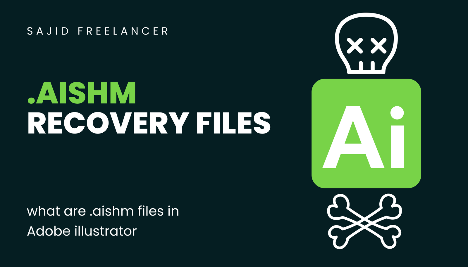 what are .aishm files illustrator​